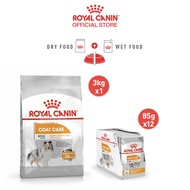 [เซตคู่สุดคุ้ม] Royal Canin Mini Coat Care 3kg + [ยกกล่อง 12 ซอง] Royal Canin Coat Care Pouch Loaf อาหารเม็ดสุนัขโตพันธุ์เล็ก + อาหารเปียกสุนัขโต บำรุงเส้นขน อายุ 10 เดือนขึ้นไป (โลฟเนื้อละเอียด Dry Dog Food Wet Dog Food โรยัล คานิน)