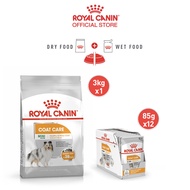 [เซตคู่สุดคุ้ม] Royal Canin Mini Coat Care 3kg + [ยกกล่อง 12 ซอง] Royal Canin Coat Care Pouch Loaf อ