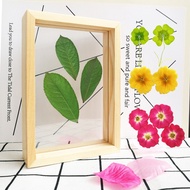 Wooden Plant Specimen Frame Photo Frame Art Mini Multifunctional Photo Picture Frame DIY Photo Decor