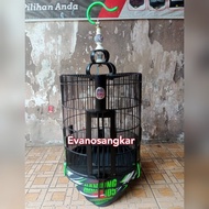 Kandang burung anis dan wambi tebok PVC decal EBOD JAYA