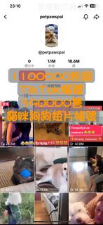 【數位資產販售】TIKTOK帳號販售 110萬粉絲 追蹤 IG TIKTOK YT 抖音 Instagram youtube