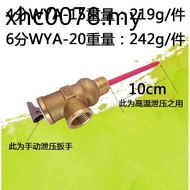 90/99 Degree WYA-20 Temperature Pressure Safety Valve WYA-15 Pressure Relief Valve DN15PT Valve DN20