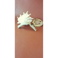 Original part nokia 7600 gold d cover