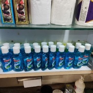 高露潔漱口水60ml ×19支