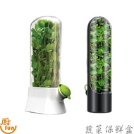 Vegetable Fresh-Keeping Box Vanilla Leaf Coriander Storage Pressure-