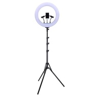 Taffstudio 18inch LED Ring Light Halo 3xHolder+Tripod JY-460B