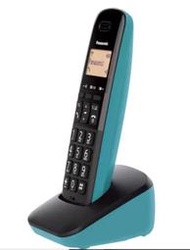 ( COSTCO 好市多 代購 )國際牌 無線電話單子機 KX-TGB310TWC
