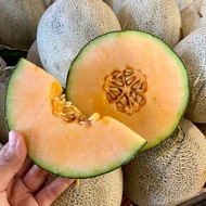 Malaysia Rock Melon [1 Pc] (+/- 1.6Kg) (KL &amp; Selangor Delivery Only)