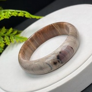 緬甸樹化玉手鐲 52+MM 高瓷玉化千層年輪紋多彩 招財和諧守護平安