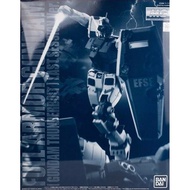 Bandai MG Full Armor Gundam (Gundam Thunderbolt) Last Session Ver 4573102655899 (Plastic Model)