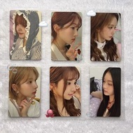（出現貨） Nmixx 2025 Season’s greeting 特典 小卡 Lily Haewon Sullyoon Bae Jiwoo Kyujin