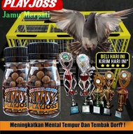 DOPING MERPATI PLAYER ISI 50 BUTIR / Doping Merati Tinggi Pukul Doping Merpati kolong losdor / jamu 