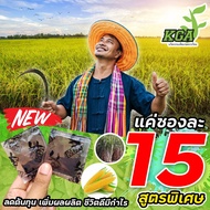 ผงดำKGAสารเสริมประสิทธิภาพปุ๋ยกึ่งฮอร์โมน