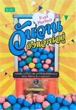 Past Perfect วันวานยังหวานอยู่