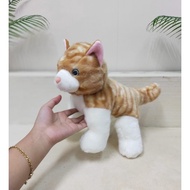 Floppy Cat Doll 25cm/11"/Cat Doll/Animal Doll/Cat Doll/Orange Cat Doll
