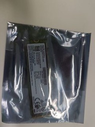 M.2 SATA 256GB