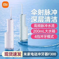 Xiaomi Mijia Electric Flosser F300 Flosser Water Floss Portable Household Oral Flosser Gift