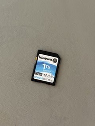 kingston canvas go plus 1tb