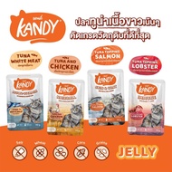 [ยกลัง48ซอง]  Kandy อาหารเปียกแคนดี้ ทูน่าเนื้อขาว ไม่เติมเกลือ ไม่มีส่วนผสมของธัญพืช 70 กรัม