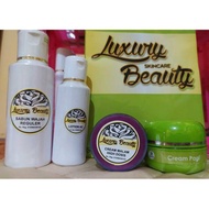 LUXURY BEAUTY SKINCARE HIGH DOSE PACKAGE