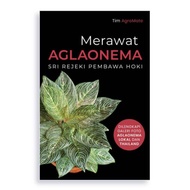 Merawat Aglaonema - Tim Agromate - AgroMedia