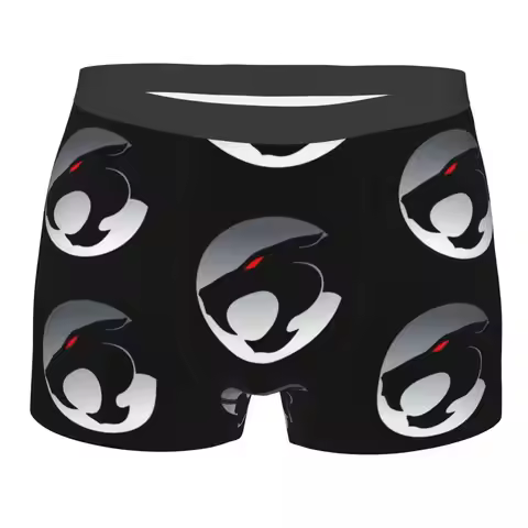 Custom Cartoon Anime Thundercats Logo Underwear Men Print Boxer Briefs Shorts Panties Breathable Und