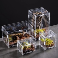 Reptile Anti-Escape Breeding Box Acrylic Transparent Breathable Amphibian Tank for Turtle Spider Liz