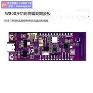 熱銷爆品W800開發板 物聯網通訊單片機開發核心板 MCU系統板語音識別芯片 露天拍賣