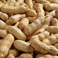 【熱賣】新鮮花生東北四粒紅現挖曬干原味炒熟帶殼紅皮生花生批發一件代發