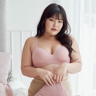 Jumbo Bra WITHOUT WIRE LEIA (SIZE 44-46)/ Bra Jumbo SEAMLESS/ Bra WIRELESS JUMBO