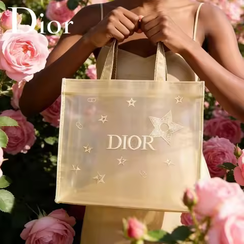 Christian Dior Dior’s bag Luxury Golden Mesh Multi-purpose Handbag Embroidered Star & Brand Logo Ele
