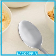 [ Stainless Spoon Gift, Cooking Utensil Engraved Ice Cream Spoon Serving Spoon for Camping Trip Picnic,