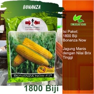 Bonanza 1800 Butir Benih Jagung Manis