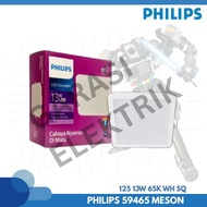 PHILIPS 59465 MESON 125 13W 65K WH SQ recommended original