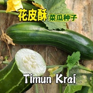 Biji Benih Timun Krai (15 seeds)/花皮酥青瓜籽/Krai Cucumber Seeds