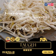 【MIXFOOD】FRESH TAUGEH BEANSPROUT | 1/3kg | 每天新鲜 豆芽 批发 | 餐馆 酒店 面档 茶室 医院 用 |