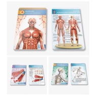 (ACESTORE) FLASHCARD ONLY - DEVAR Flashcards Augmented Reality 4D /Flashcard for kids / School Scien