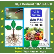 Baja larut Air Baja Foliar 18-18-18+TE 肥精 水溶性肥料 Water Soluble Fertilizer（1kg, 2kg）