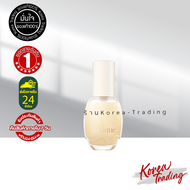 Dasique Water Veil Primer 40ml ไพรเมอร์