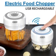 Electric Food Chopper / USB Garlic Chopper / Kitchen Blender Mixer / Vegetable Meat Chilli Grinder M
