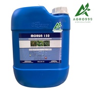 20L MORUN 150/New Glufosinate-ammonium 13.5%(Basta 15, Kenbast 15, BEZOROL, Fosinate)Racun Rumput Ra