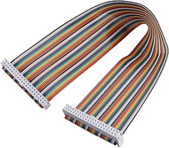 ZDE Female to Female GPIO Flat Ribbon Cable 40pin Breadboard Rainbow Jumper Wire 30cm/11.81inch Comp