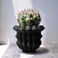 CBP008植木鉢 原創設計/3D列印/多肉塊根植物/盆器盆栽/送禮