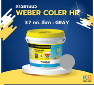 Weber color HR เวเบอร์ คัลเลอร์ เอช อาร์ | กาวยาแนวสระว่ายน้ำ สปา และซาวน่า | ขนาด 3.7 กก. | ขนาด 18