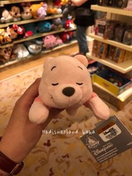 Winnie the pooh公仔