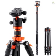 K&F CONCEPT  67.7in Foldable Tripod Camera Stand with Ball Head 10kg/22lbs Load Capacity Aluminum Al