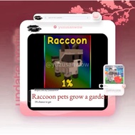 [REPOST slide the image]Raccoon Grow A Garden Pet PC GAME