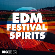 Big EDM EDM Festival Spirits 🔰 ProducerLoops *Sample Pack* (Win/Mac)