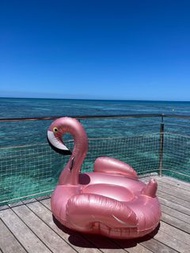 特大火烈鳥吹氣公仔