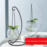 Eco decoration Room decoration gift decoration Home decoration Susunan bunga ruang tamu gantung boto